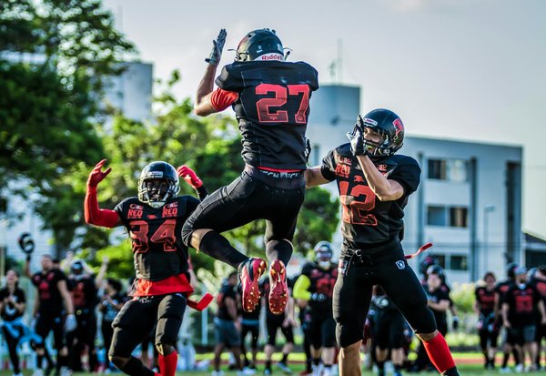 How Can We Ensure a Safe Environment for UK Pets?